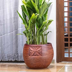 <strong>New</strong> Arrival Wooden <strong>Planter</strong> Made of 100% Natural Wood with Natural Wooden Color for Indoor/Outdoor Planting in Home and Garden - Product Image 5