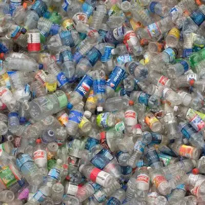 Rottami di bottiglie di plastica per animali domestici a basso prezzo