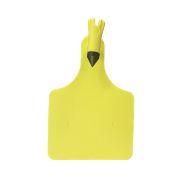 Amarillo