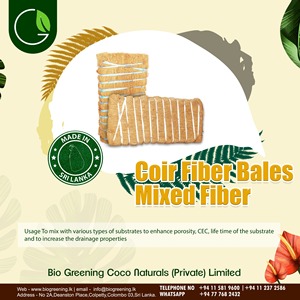 ผลิตภัณฑ์ใยมะพร้าวธรรมชาติพรุ - Product Image 1