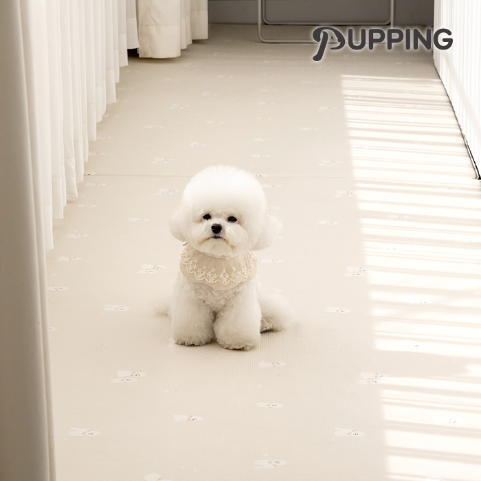 บิชอง
