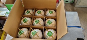 カスタマイズされたブランドのハスのココナッツはなく、高品質で慎重にパッケージ化された迅速な対応 - Product Image 4