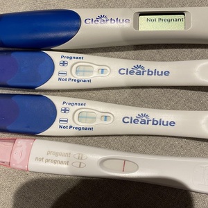 早期妊娠テストクリアブルーパック2パック3パック4パック10