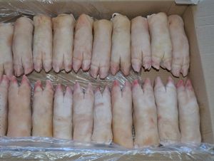 优质冷冻/新鲜猪肉低价出售 - Product Image 5