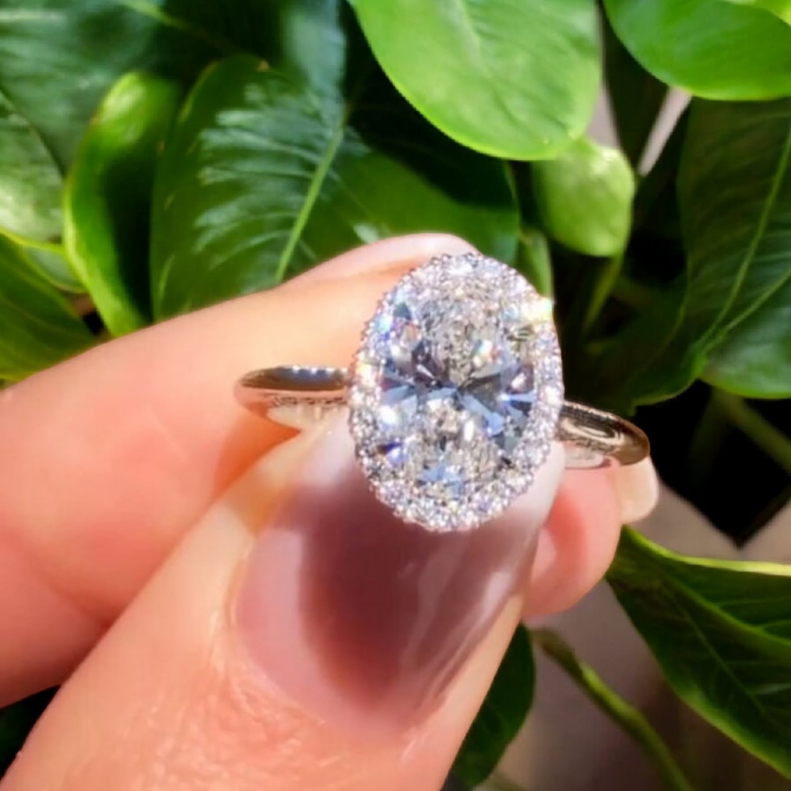 กุหลาบทอง14K