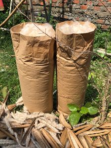 Organik KAPOK yatak ve yastık dolum için % 100% doğal yüksek kalite/toptan VIETNAM gelen KAPOK FIBER iyi fiyat - Product Image 5
