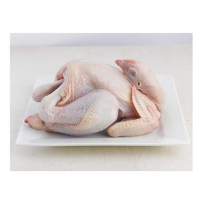 <strong>TOP</strong> FROZEN WHOLE <strong>CHICKEN</strong> <strong>Factory</strong> Rate Premium Quality FINE PRICE - Product Image 2