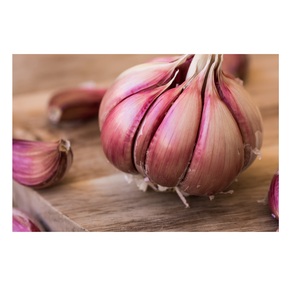 Get Red Garlic for Sale at Low Prices Fresh and High Quality Bulk Orders Welcome Now at Discounted Rates - Product Image 1