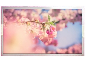 10.25 pollici Touch Screen di controllo industriale di grandi dimensioni Android Touch moduli LCD macchina All-In-One per applicazioni di avviso TV - Product Image 2