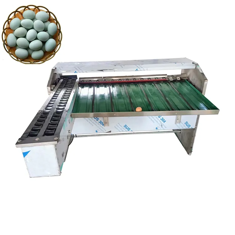 Egg Grading And Packing Machine Egg Grading Machine By Weight Egg Weight Sorting Machine