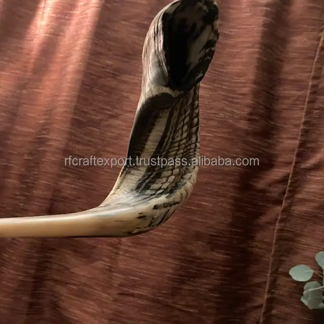 Natural Polido Ram Shofar Chifre Artesanato Indiano Trabalho de Chifre Shofar Artesanato para Religiosos Judaicos Ano Novo da Índia