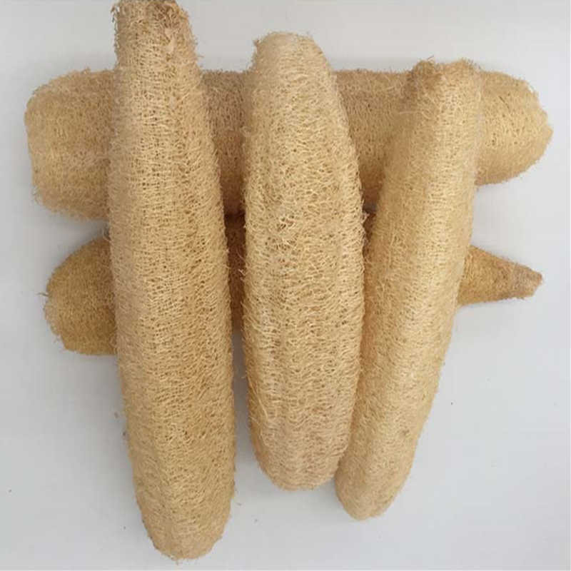 ธรรมชาติ