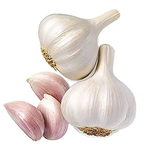 유기 신선한 Garlics (빨강과 순수한 백색) 신선한 마늘 백색 마늘 정상적인 백색 Garlic10kg 판지