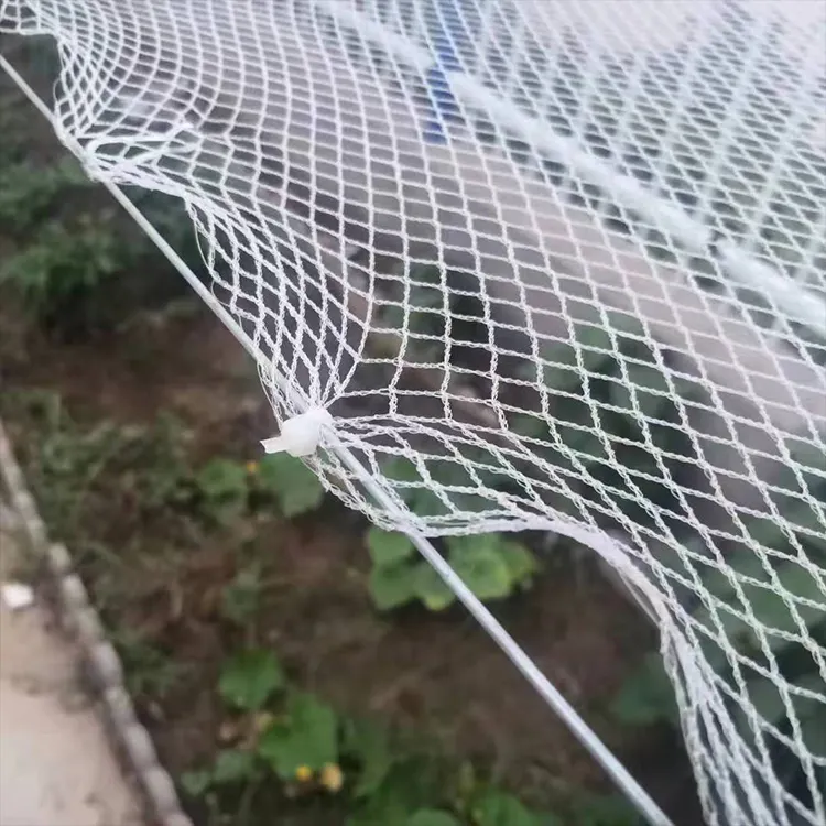 Red de enrejado antipájaros de polietileno de alta densidad para huerto de granja Red de granizo de uso común para árboles frutales