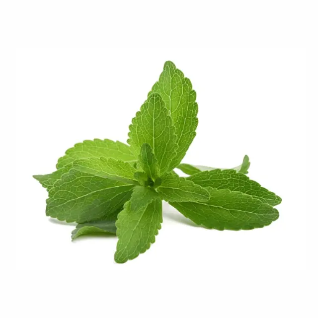 Grosir daun Stevia murni dan alami dalam jumlah besar daun Stevia kering | Teh Herbal | Daun Stevia | Perawatan kesehatan