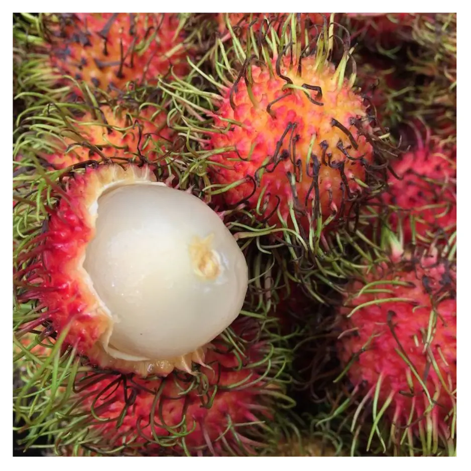 Rambután fresco más vendido de alta calidad y asequible de Vietnam Frutas nuevas listas para exportar Global 2024