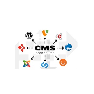 <strong>Web</strong> Developers <strong>Web</strong> <strong>Design</strong> Custom Content Management Software <strong>for</strong> Business Growth Available at Wholesale Price
