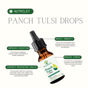 <strong>Ayurvedic</strong> Panch Tulsi Drops for Microbial Protection Digestive Health and Enhanced Overall Immunity - Product Image 3