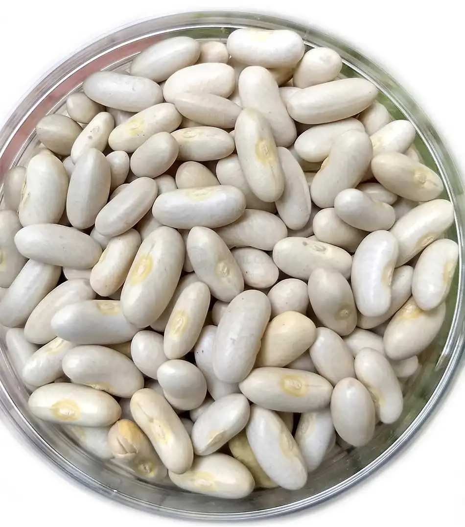 White kidney beans in stock at affordable prices