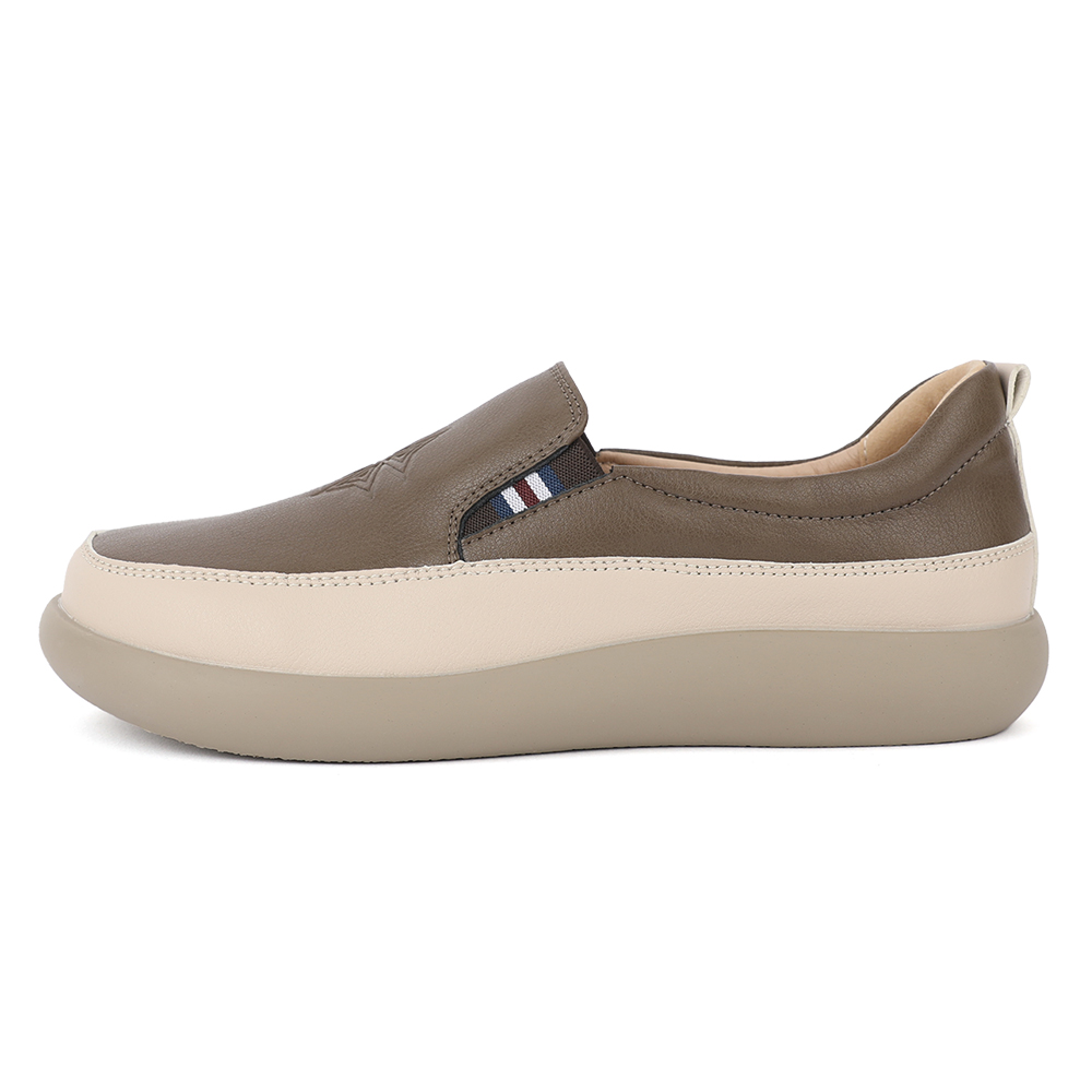 สีน้ำตาล