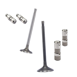 Land Rover LR004401 LR004429 <span class=keywords><strong>LR008130</strong></span> LR029317 için yüksek kalite motor vanaları emme egzoz