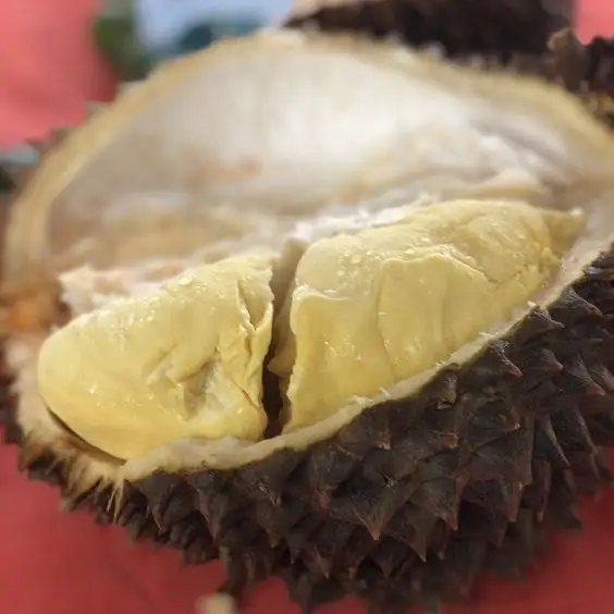 Hele Durian Bevroren Durian Ri6 Vietnamees Fruit Van Hoge Kwaliteit 100% Vers Fruit