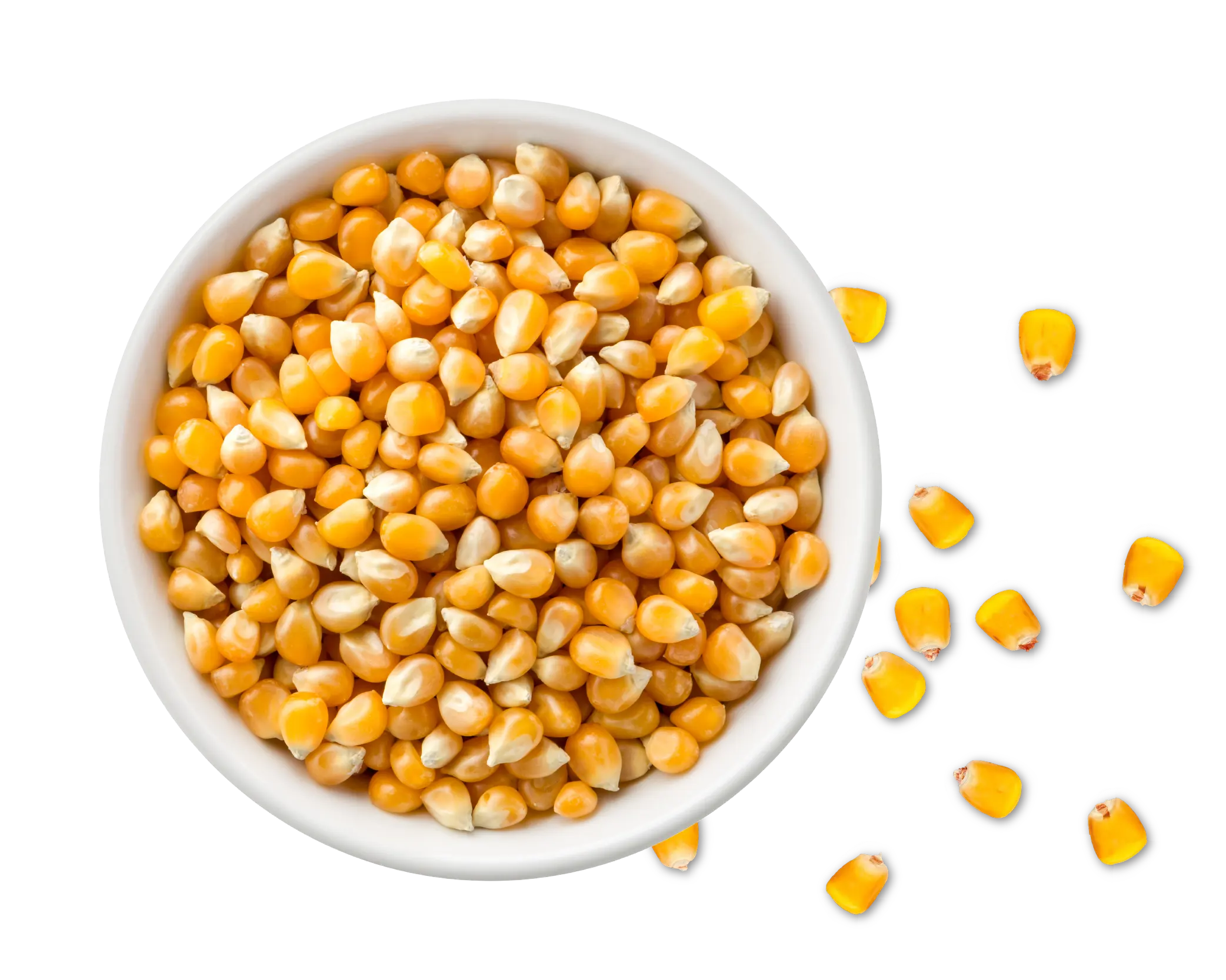Grains de maïs jaune de haute qualité à vendre maïs jaune séché disponible pour la vente en gros