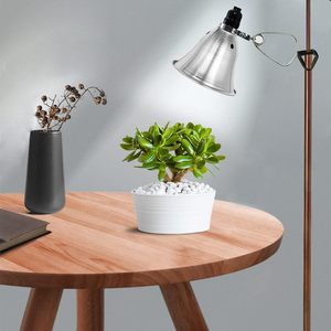 取り外し可能な5.5インチアルミニウムリフレクター付きクランプランプライト、60ワットE26ソケット (電球は含まれていません) 、<span class=keywords><strong>6</strong></span>フィート18/2 SPT-2コードコード