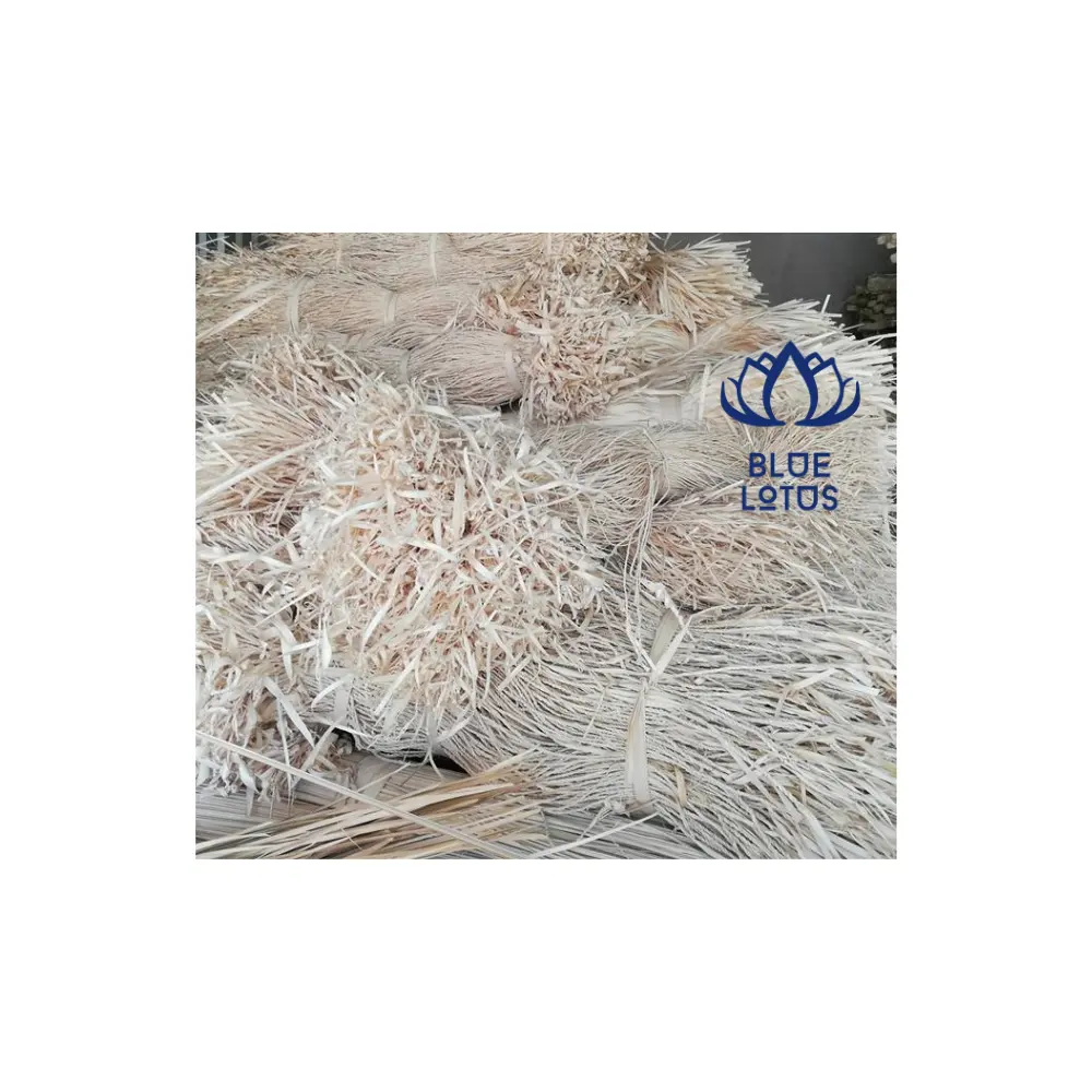 Lá Cọ corypha lecomtei lá Việt Nam nguyên liệu trong số lượng lớn đóng gói giá tốt nhất