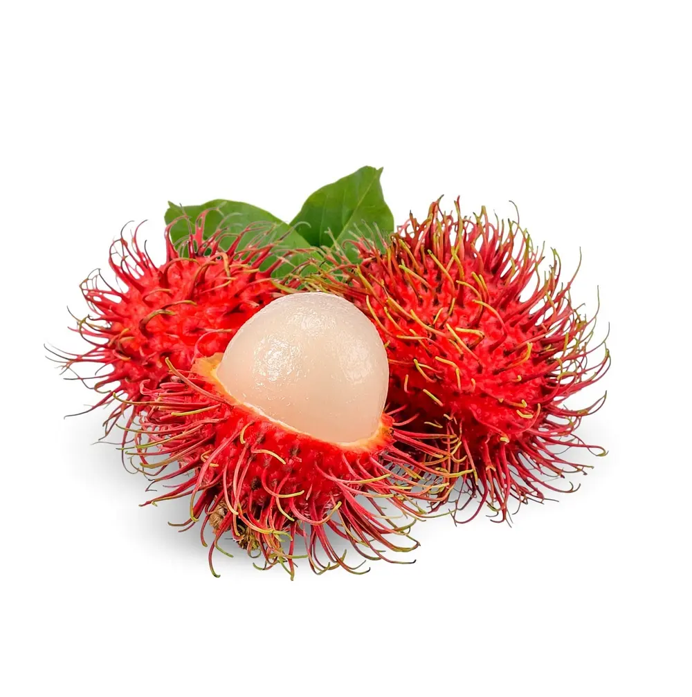 Fresh Super Delicious Taste Premium Quality Rambutan-Fruta Entera Exportación