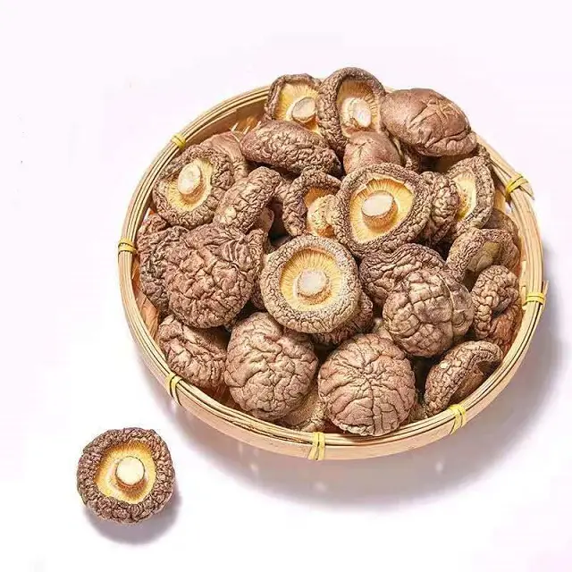 Alta qualidade secos shiitake cogumelo best seller especial para sopa seca mini shiitake cogumelo