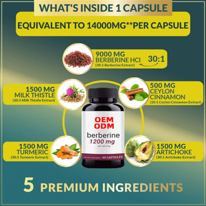 OEM diyet takviyeleri fisetin berberine quercetine ve spermedine kompleksi berberine hcl kapsül kilo kaybı için - Product Image 3