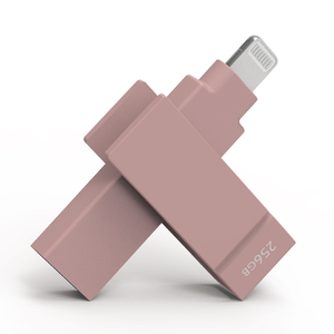 苹果MFi认证的莫兰迪粉红笔式内存USB 2.0 - Product Image 1