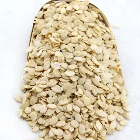Wholesale Good price Pumpkin / Sunflower / Water melon Seeds and Kernels / blanched Egusi