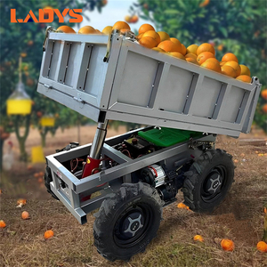 电动遥控运输车果园农场电动Utv物料搬运设备全地形运输车 - Product Image 1