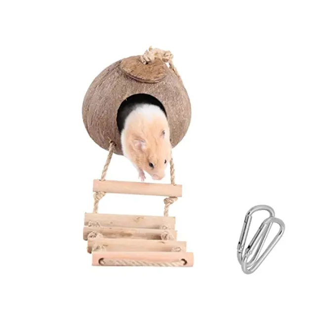 Coconut Shell House for reptiles, hamsters Shell Nest for birds with best price From Expad VietNam +84 984 012 434