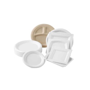 インドの輸出卸売小売価格のための3 <span class=keywords><strong>CP</strong></span>の最高品質の10インチラウンド使い捨てプレートバガス