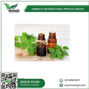 Pure Organic Holy Basil <strong>Oil</strong> Therapeutic Grade Holy Basil <strong>Oil</strong> for Stress Relief and Relaxation &amp; Natural Healing Properties - Product Image 6
