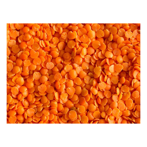 Yüksek kaliteli kurutulmuş kırmızı mercimek bölünmüş ve en iyi fiyata bütün - Product Image 1