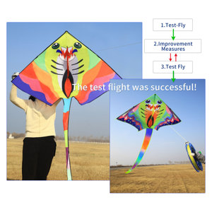 2023新款直销可定制风筝多款式多尺寸风筝 - Product Image 6