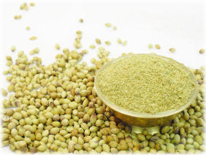 Yüksek kaliteli saf organik kişniş tohumları ve hindistan tek baharat ve otlar toz toptan fiyat - Product Image 3