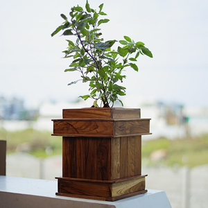 <strong>New</strong> Arrival Wooden <strong>Planter</strong> Made of 100% Natural Wood with Natural Wooden Color for Indoor/Outdoor Planting in Home and Garden - Product Image 4