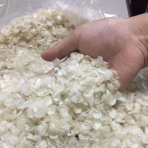 鱼干鳞片制造商/罗非鱼鳞片/SEABASS鱼鳞 - Product Image 3