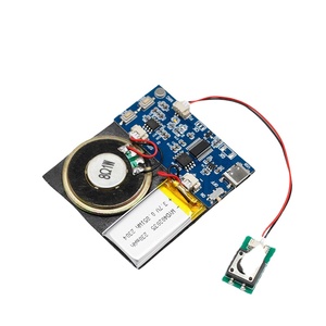 Módulo de 16MB Cable tipo C Grabación fácil 16 minutos Saludos personalizados Botón azul Altavoz de sonido activado para bricolaje - Product Image 1