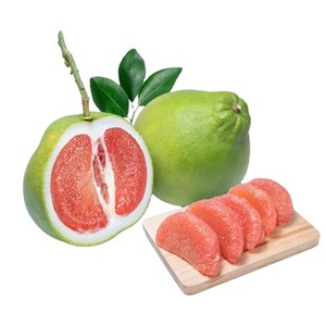 Fresh Export <strong>Pomelo</strong> Fruit/good Honey <strong>Pomelo</strong>/competitive <strong>Pomelo</strong> Price - Product Image 2