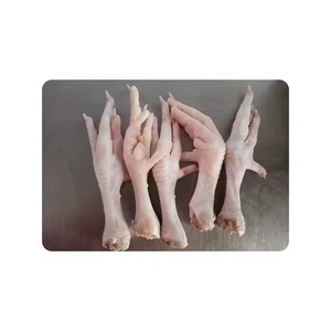 高品質のプレミアムグレードの冷凍鶏の足高品質の肉と家禽の供給