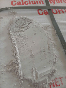 CAL HIDRATADA DE GRADO PROFESIONAL PARA ALBAÑILERÍA, ENYESADO Y RENDIZADO 92% Ca(OH)2 FÁBRICA DE CAL SLAKE DIRECTO DE VIETNAM - Product Image 2