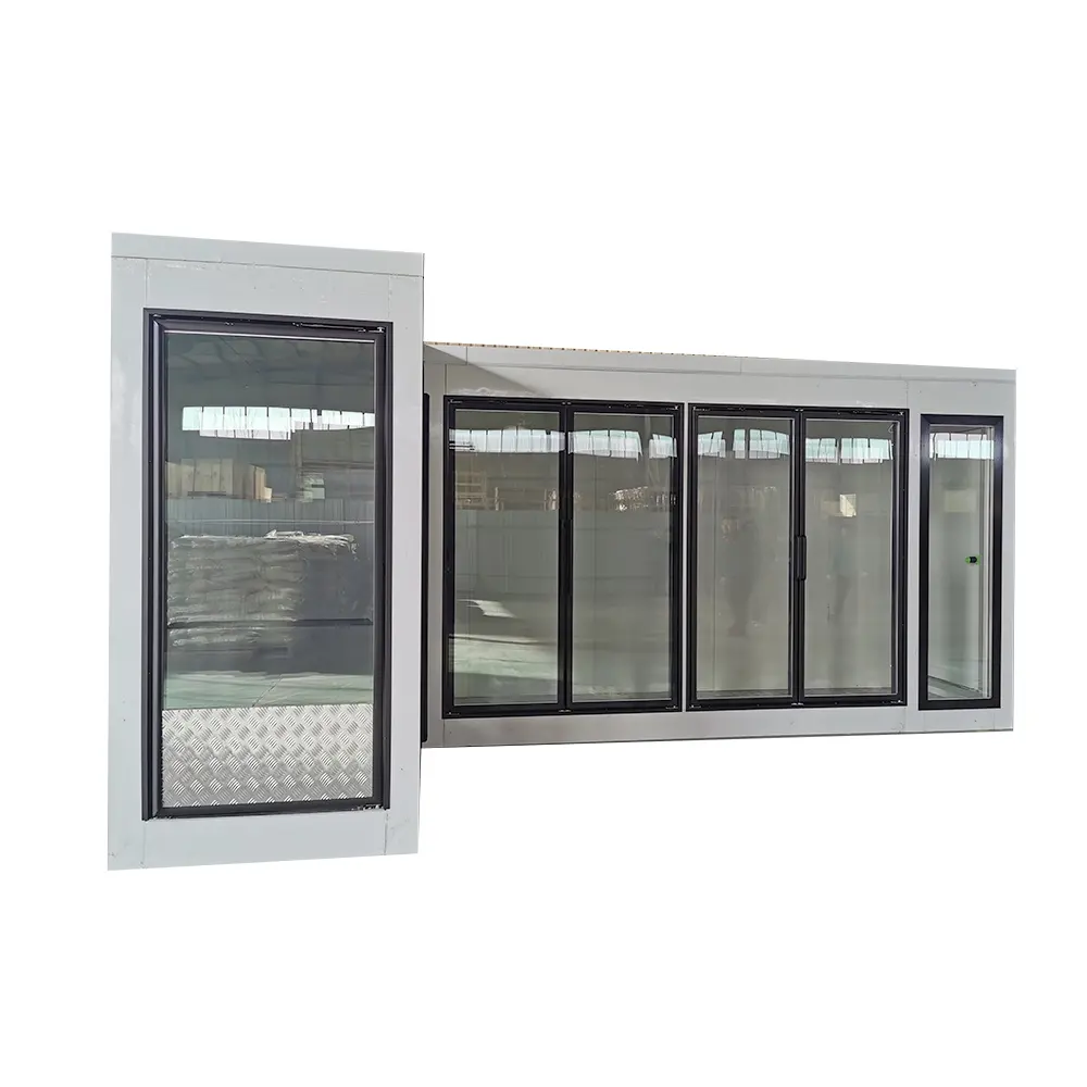 Display freezer porta di vetro di fabbrica per la passeggiata nel congelatore più fresco cella frigorifera con cornice vetro temperato porta di fabbrica