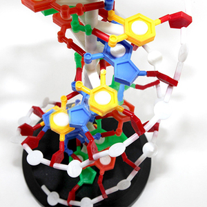 Estructura de doble hélice de DNA para ciencia médica - Product Image 5