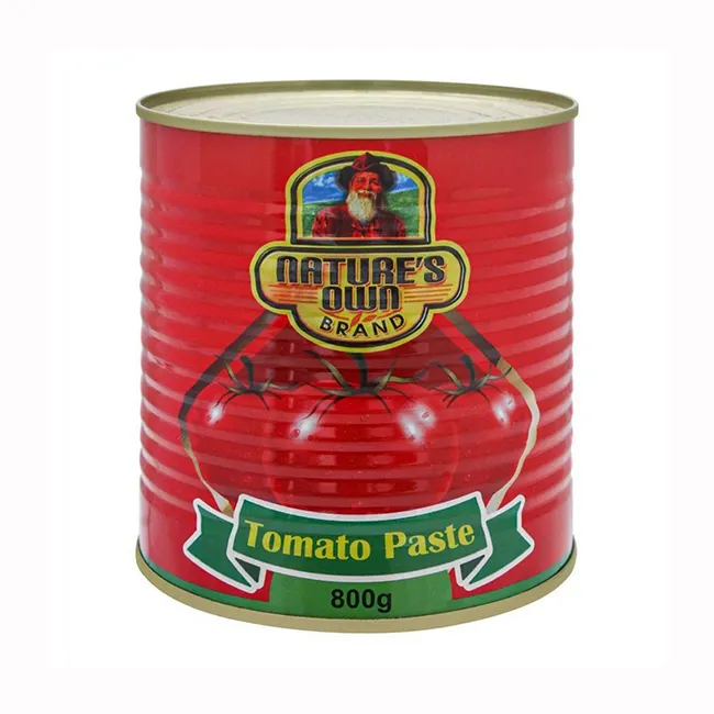 Fournisseur populaire boîte boîte de tomate pâte & sauce paquet 70g avec le meilleur prix pour le marché africain